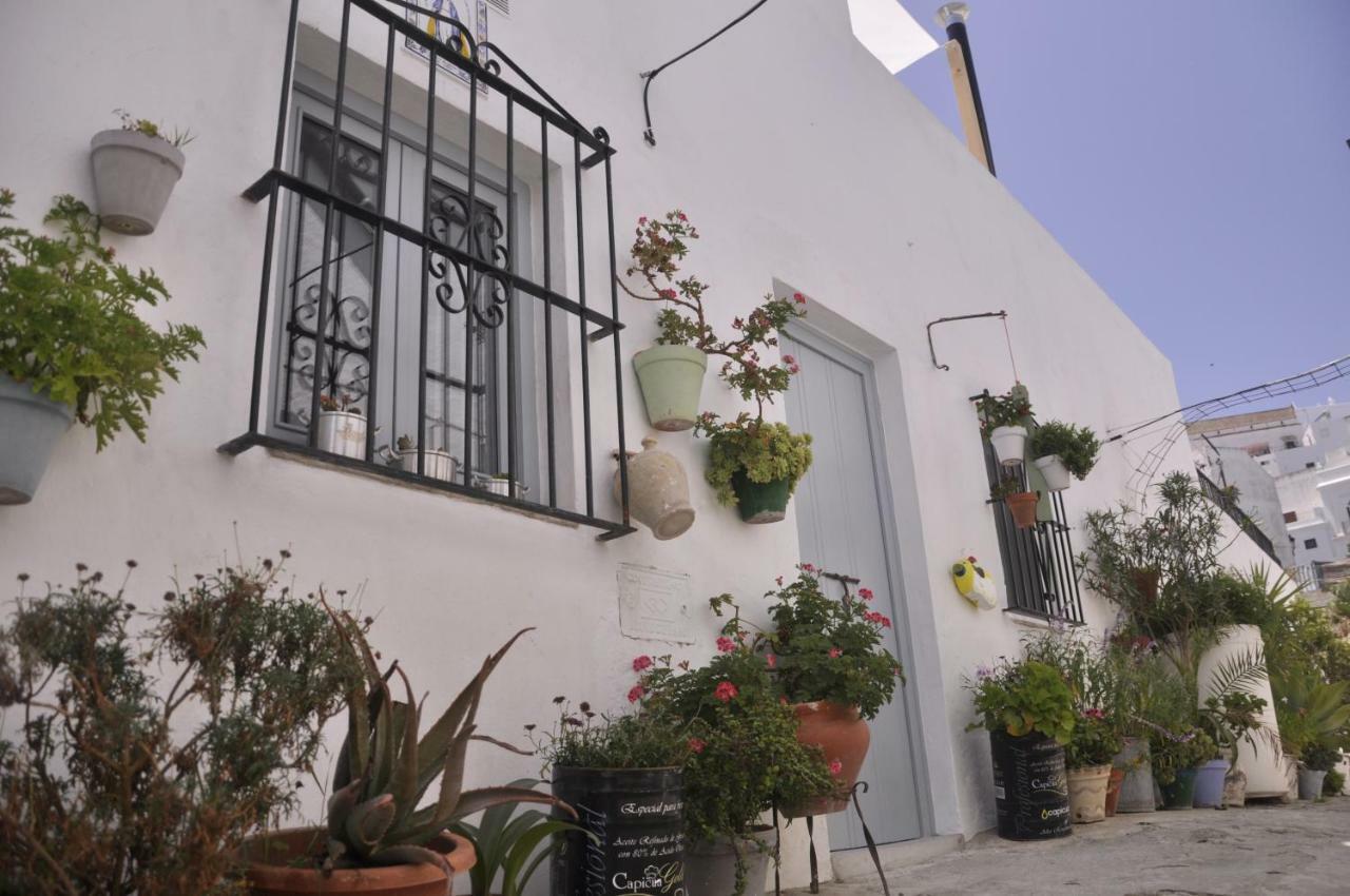 וחר דה לה פרונטרה Vivienda Turistica De Alojamiento Rural Silla Vieja 11 מראה חיצוני תמונה